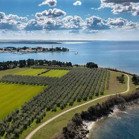 Karpinjan - Novigrad Apartment